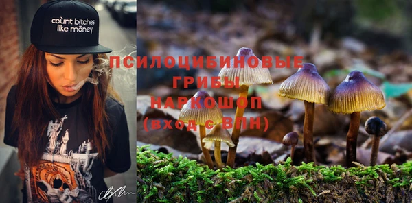 прущая мука Саяногорск