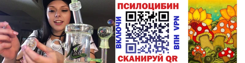 Псилоцибиновые грибы Psilocybine cubensis  Вытегра 